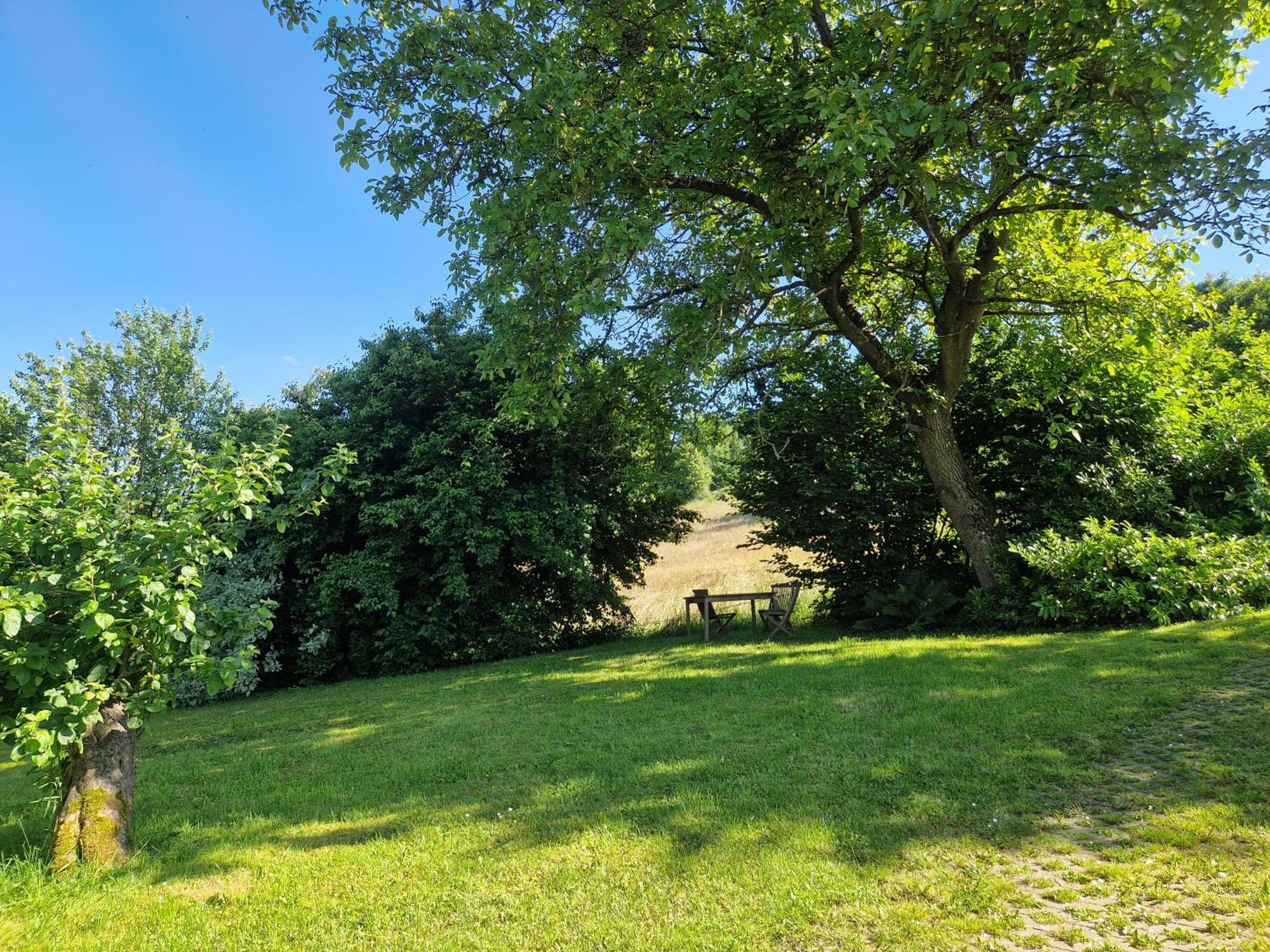 משדה Ferienhaus Berghausen Am Hennesee מראה חיצוני תמונה